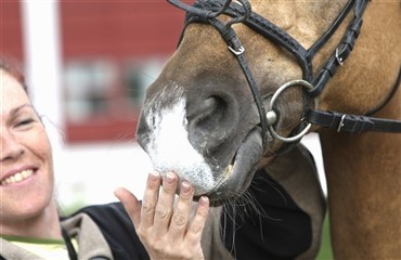 Passer du p&aring; den sarte mule i solskinnet?