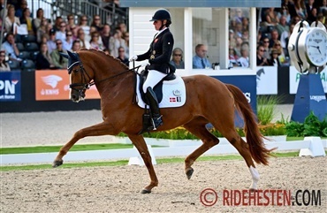 Guld, s&oslash;lv og nr. 4 til Danmark