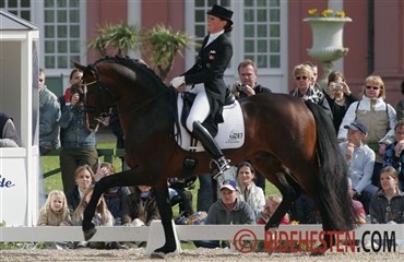 Hingstestationen Wiesenhof lukker