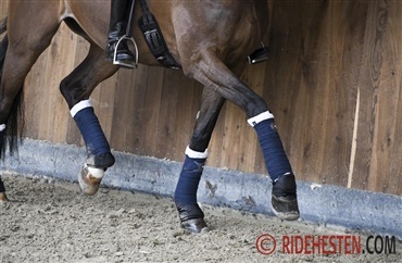 Indblik i landholdssamlingerne i dressur