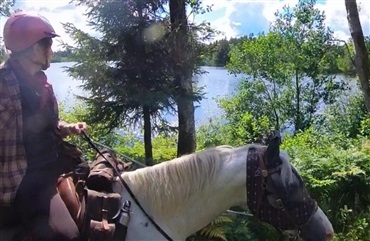 P&aring; hesteryg gennem Sverige - del 2