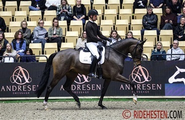 Bachmann: – Et par af dem ville jeg godt have i stalden