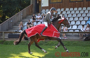 Flarup og dansk landshold vinder NM-guld