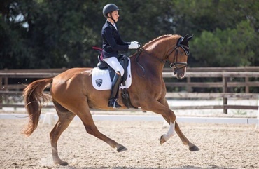 Danske heste med succes i Spanien