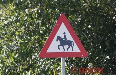 Husk at tage hensyn i trafikken