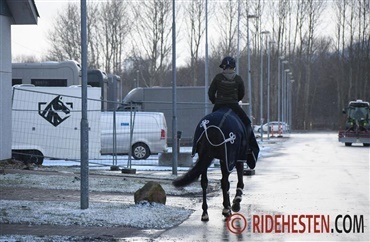 Hestene installeres i Herning