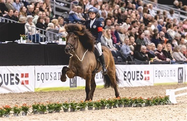 En hestefest i verdensklasse er ovre