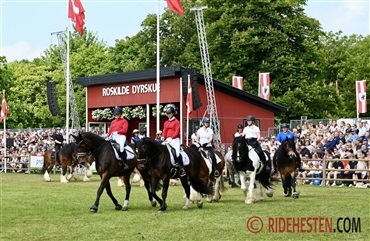Tusindvis nyder dyrskuelivet i Roskilde