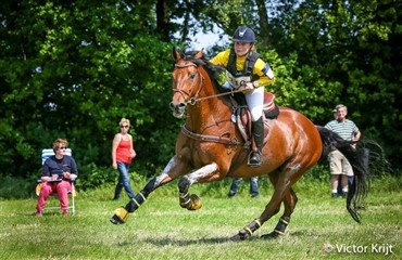 Dansk placering ved Renswoude Horse Trials