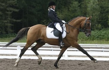 Dansk ponysejr i Babenhausen