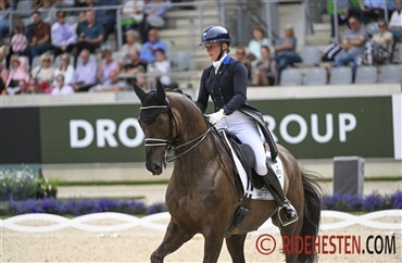 Danske heste i FEI's asiatiske mesterskab