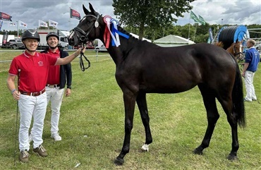 2-&aring;rs hoppe udtaget til Eliteskue