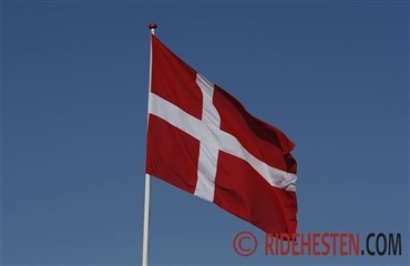 Danmarks bedste klubhold i springning