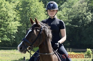 Schoubyes D'artagnan skifter rytter