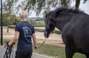 Ellen Glinvad Nielsen – Du kan ikke undg&aring; at knytte b&aring;nd med hestene