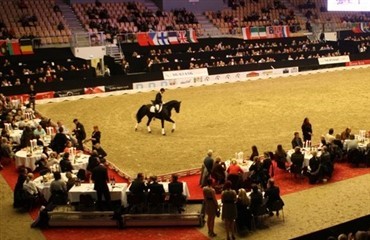 Succesfuld auktion ved JBK Horse Shows