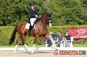 – Det er en k&aelig;mpe mulighed at f&aring;