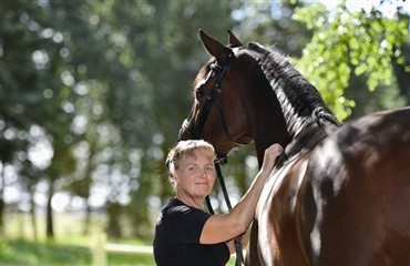 Med vilje, talent og hesten i f&oslash;rste r&aelig;kke