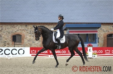 Internationale dressurplaceringer