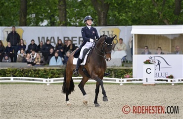 Internationale starter - uge 36