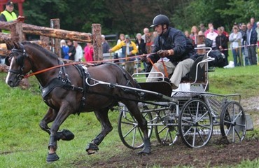 Salgsdag for k&oslash;reheste