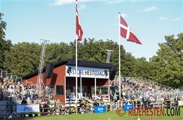 Tid til endnu en Store Hestedag