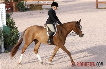 Fredericia Sportsrideklub afholder Hunter-klasse