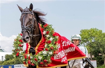Dansk hest vinder sensationelt VM-s&oslash;lv i USA