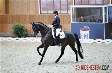 6-&aring;rs hestene er finaleklare