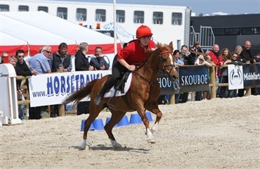 Danske ryttere til VM i Mounted Games