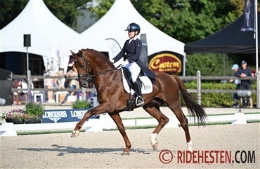 My Vitality er blevet solgt