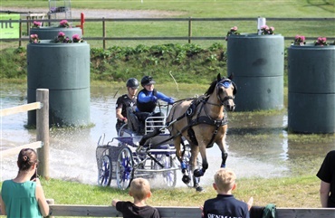 Succesfuldt DM i k&oslash;rsel med hest og vogn