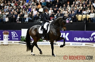 St&aelig;rkt dansk lineup til World Cup