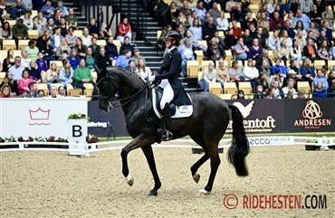 Internationale starter - uge 8