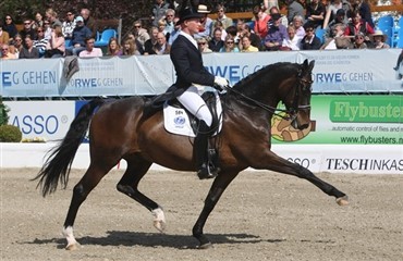 Sterntaler &aring;rets hest 2009 i Tyskland