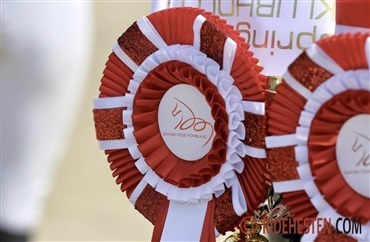 V&aelig;rdifuldt m&oslash;de om st&aelig;vnestrukturen