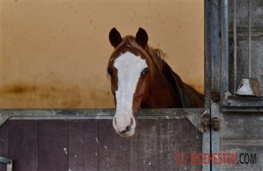 Nye CHR-regler er tr&aring;dt i kraft
