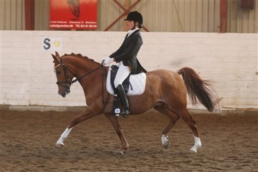 Hyggeligt Valentine Dressage Show i Nr. Aaby