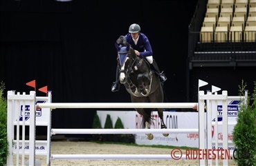 Dannebrog str&oslash;g til tops i Riesenbeck
