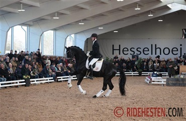 &Aring;bent hus hos Hesselhoej p&aring; fredag