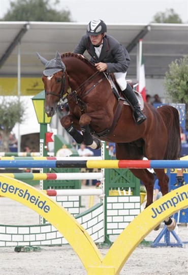 Ingen fejlfrie i hingsteklassen