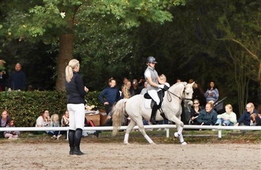 Veloverst&aring;et Hestival hos TIKA Rideudstyr