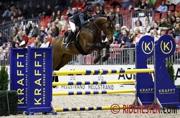 5-&aring;rs DV-hingst sprang sig til sejr