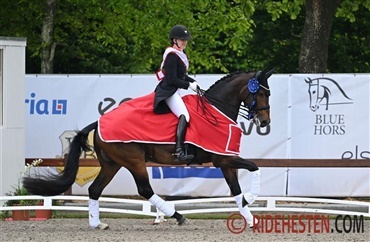 DM i dressur: Dufour dominerer