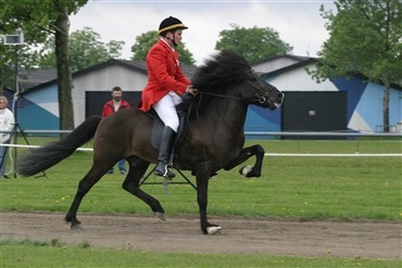 World Cup for islandske heste 2008