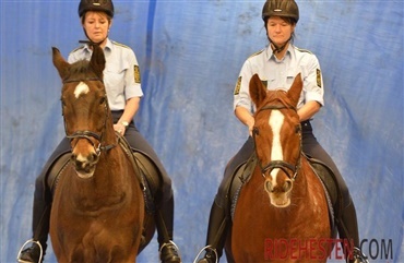 Politiet s&oslash;ger flere heste