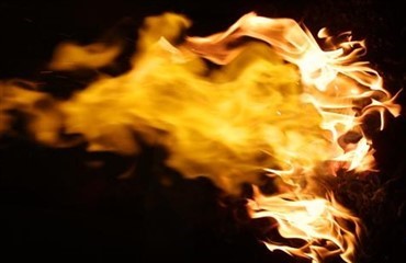 Mustang Trailers i flammer