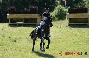 Succesfuld opstart af elite set-up