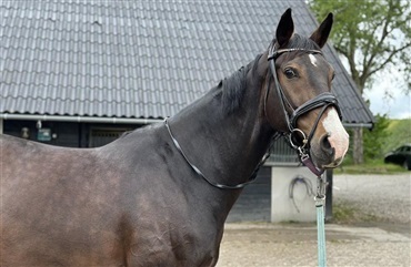 – Hun er en ven for livet