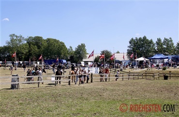 Fair Play-pris ved D4 Horseshow